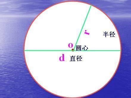 照圆意思|什么是圆照